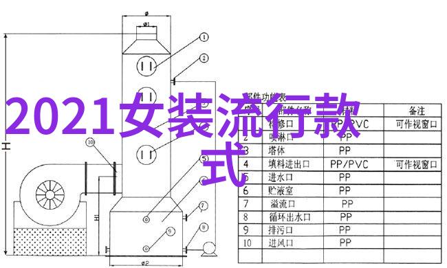 新一代女性为何热衷于追求完美的身体线条和面部轮廓