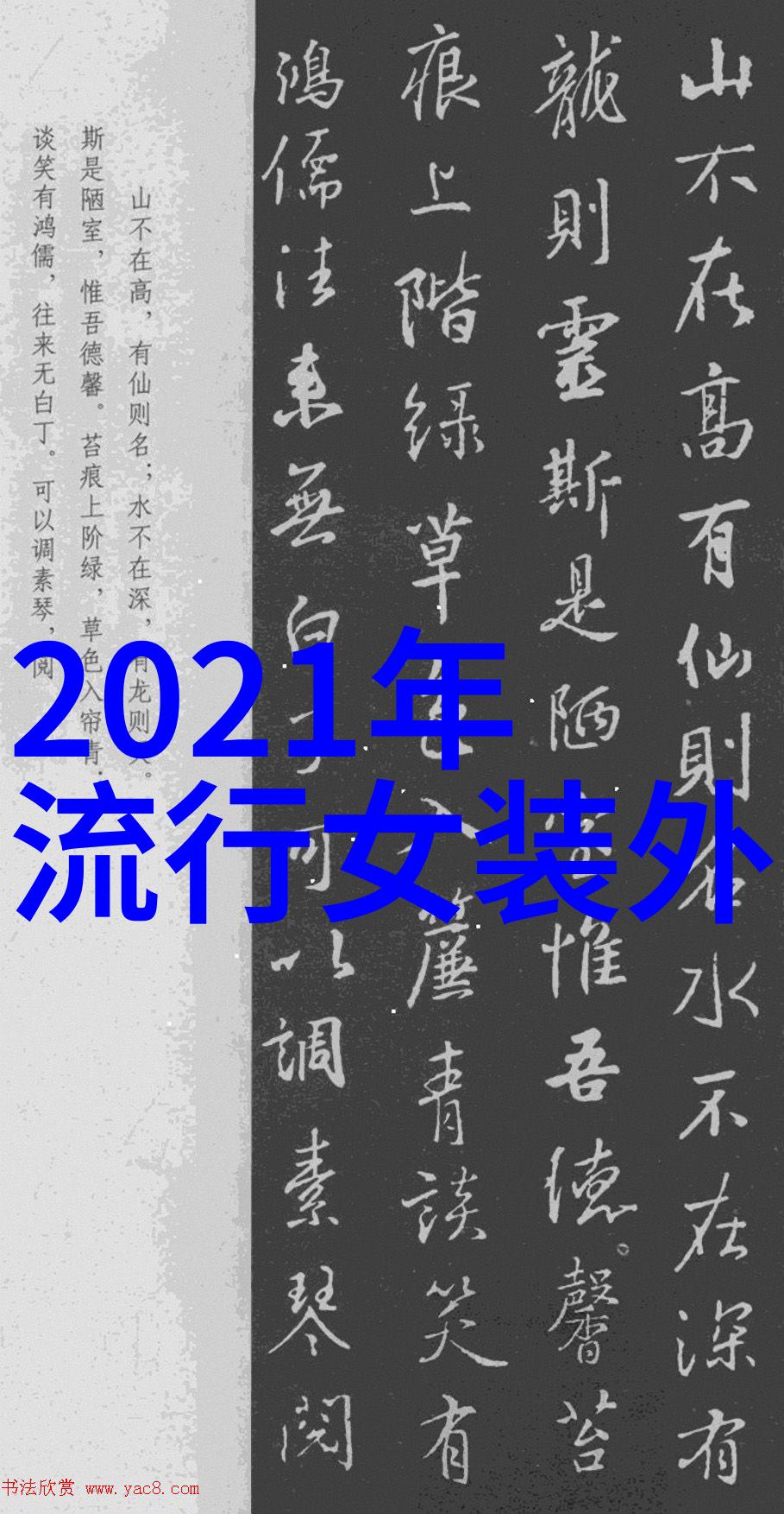 21红色名单-揭秘21条红线中国文化的底线守护者与社会责任探究