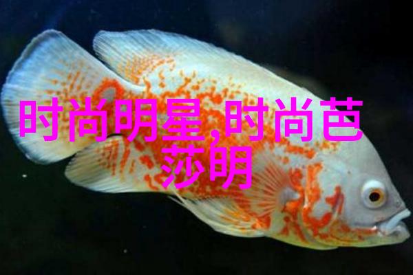 夏季时尚潮流轻盈连衣裙帆布鞋大码女装