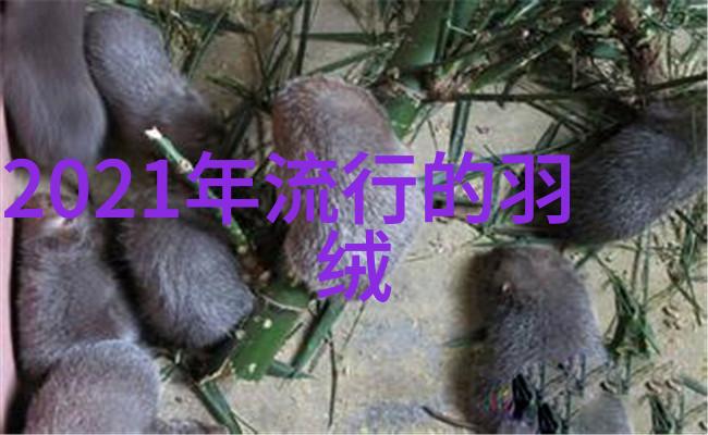 剪影40岁女性的新篇章