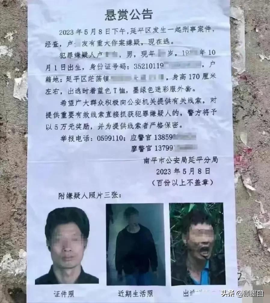 打造时尚混搭如何巧妙穿搭短卫衣与鲨鱼裤