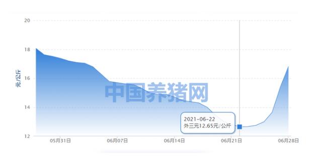 运动风女装的兴起运动休闲穿搭如何打造时尚感