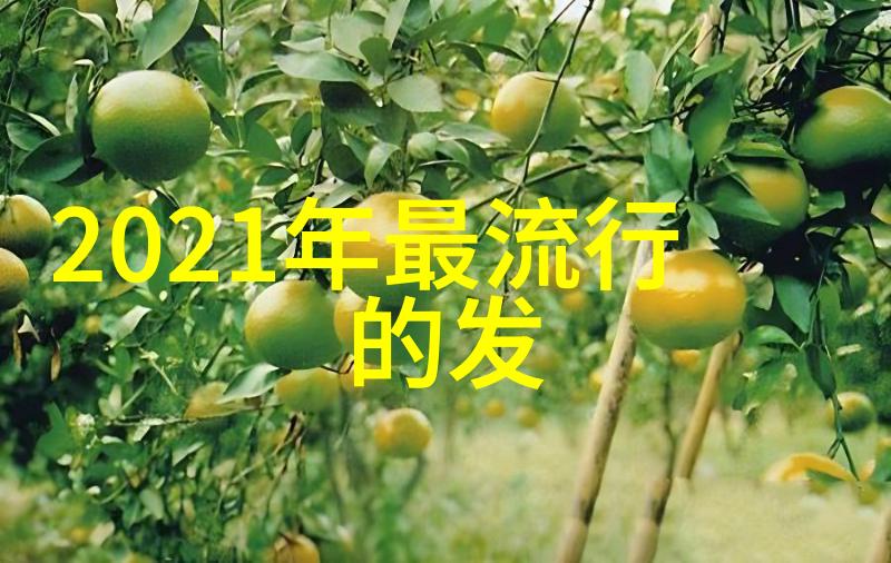 新保姆进2ED4-入门指南新保姆如何高效管理2个孩子的日常教育与发展