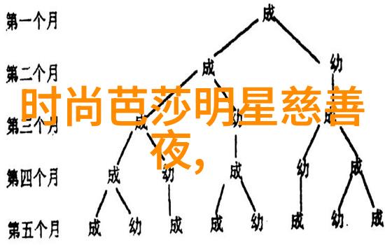 学理发包括哪些内容-剖析理发艺术与技巧的全方位学习体系