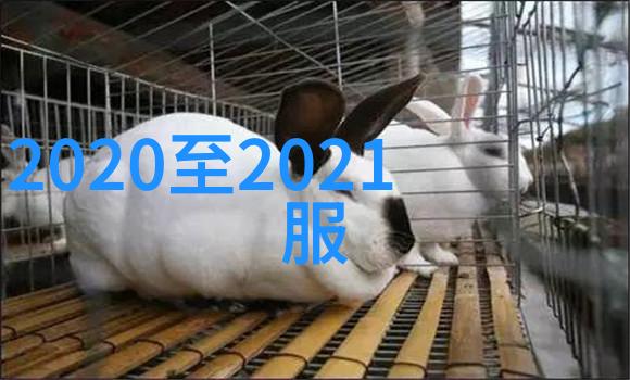 冬日轻纱2022年女士的温柔时尚风潮