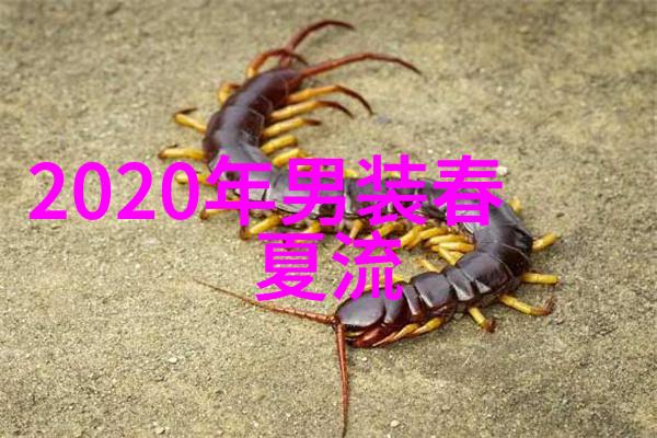 2024年新纪元的起航与梦想的绽放