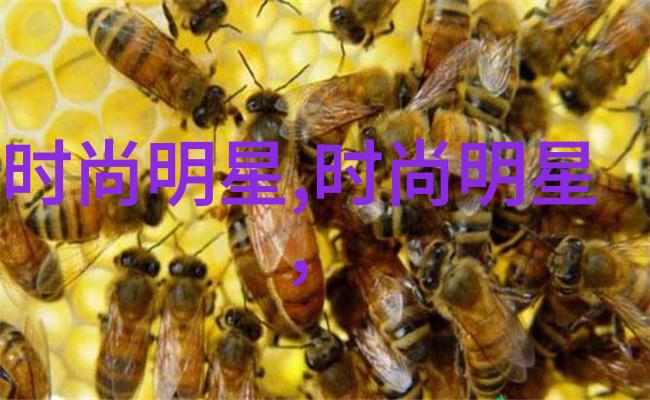 根据最新数据王小帅新作旅馆及另外两部影片成功入围了多伦多电影节同时暖暖hd免费观看手机版日本的搜索趋