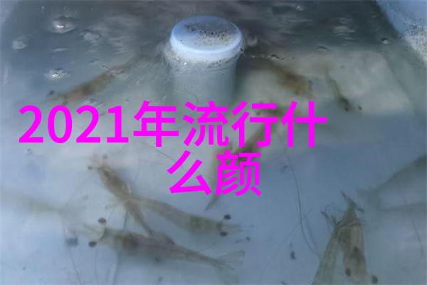 女孩们的秘密武器如何通过流行发型让中短发显得更加减龄