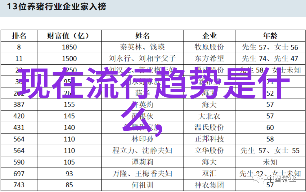 他与同行合作还是独立工作这两种方式各自有何优势