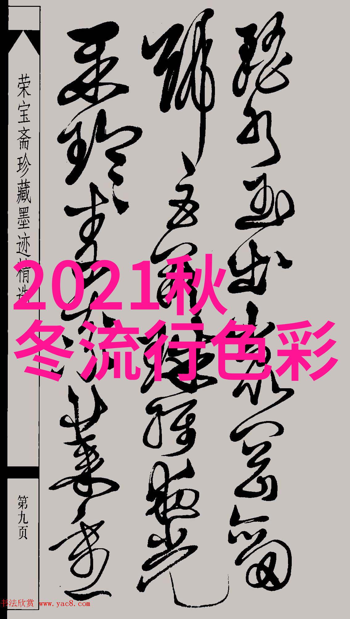 与其他武侠作品相比智胜千手中的张云龙有何不同之处和亮点呢