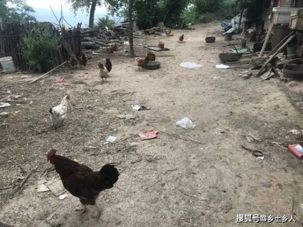 家具照片大全图片创意家具图库分享打破传统营造个性化居住体验