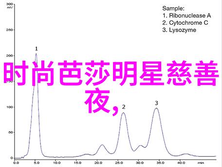 全球时尚盛宴引领潮流的巅峰之作