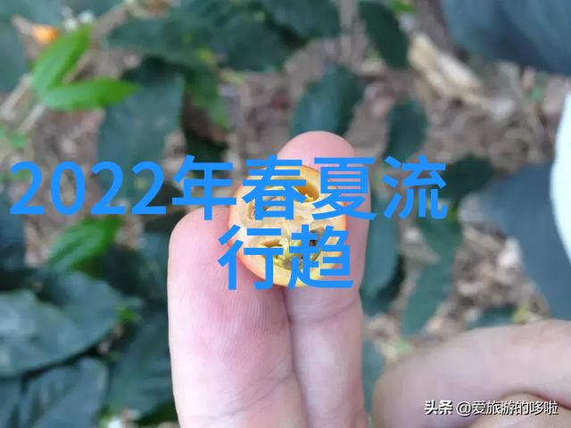 美容医院的新纪元科技与艺术的完美融合