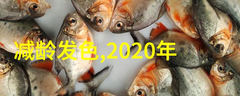 2021年流行发型图片-时尚界的新宠儿展现2021年最火爆发型风格的精彩瞬间