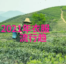 夏绘2021女生流行的色彩与节奏