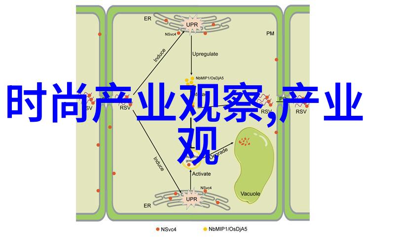 男士裤子背后的故事是什么