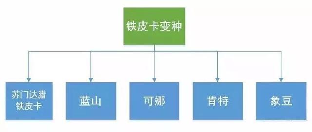 50岁女人最好看短发直发时尚中年女性简洁优雅的短发造型