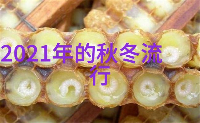 夏季时尚新趋势轻盈短发的魅力与实用性