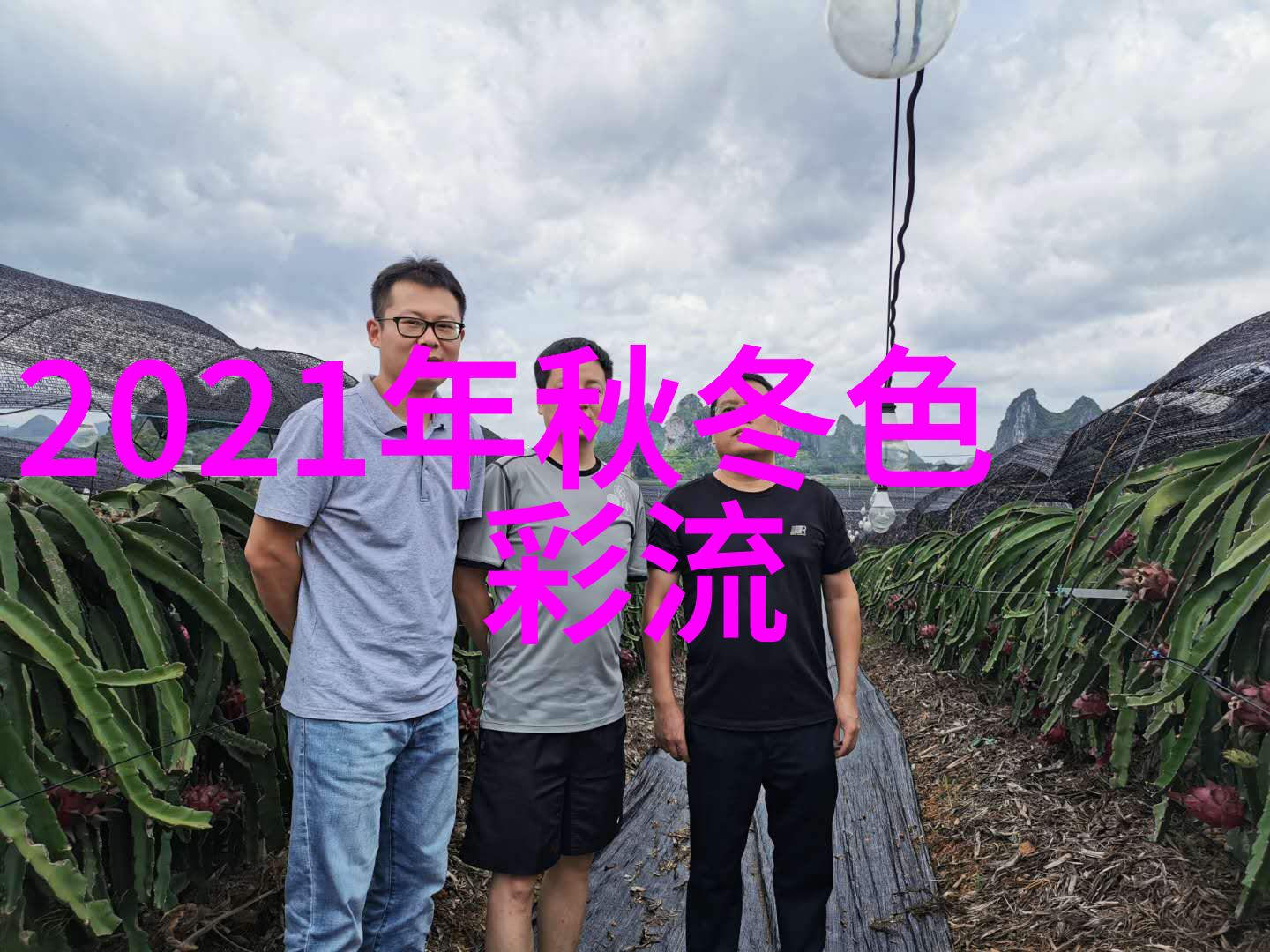 安全共赢360联盟的数字防护未来