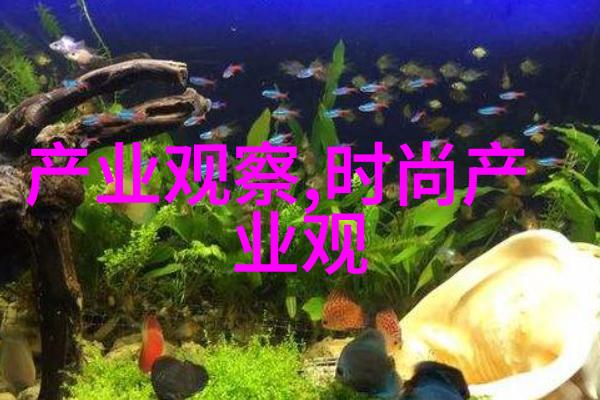 甜蜜家园我在这片温暖的土地上找到了属于我的小天地