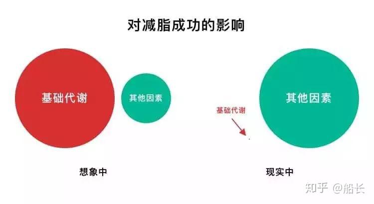 女裙子我的时尚小秘密