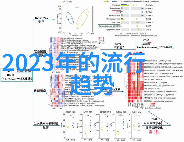 童装时尚-杰米熊童装绚烂色彩自由梦想