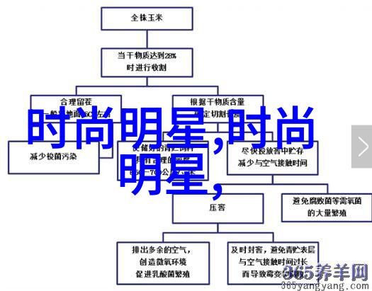 中长编美学探索不同脸形适合的编法秘诀