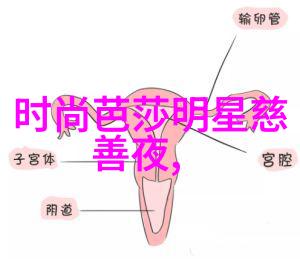 油头之谜揭秘头发油腻的原因与解决方法