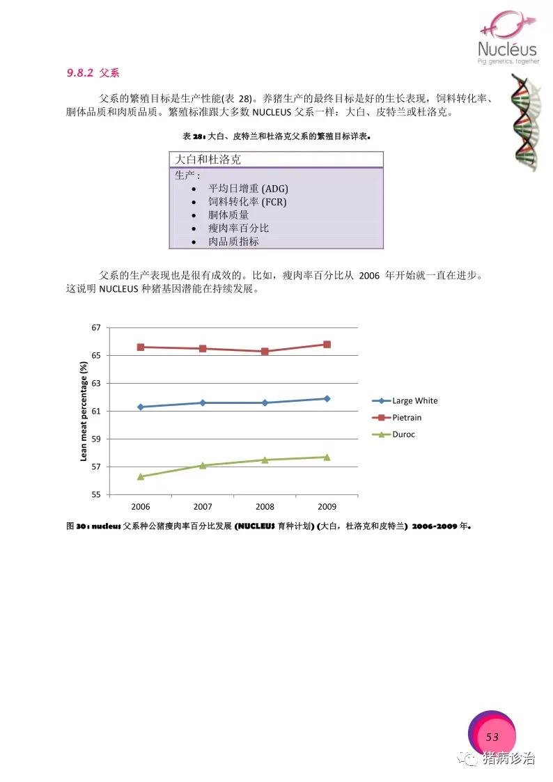 2021年流行颜色的过膝长靴与裙子奇遇一场视觉戏剧的诞生