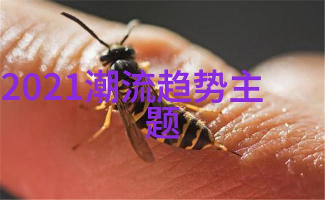 男士推子理发视频教程手法 - 精确剪发掌握男士推子理发的艺术与技巧