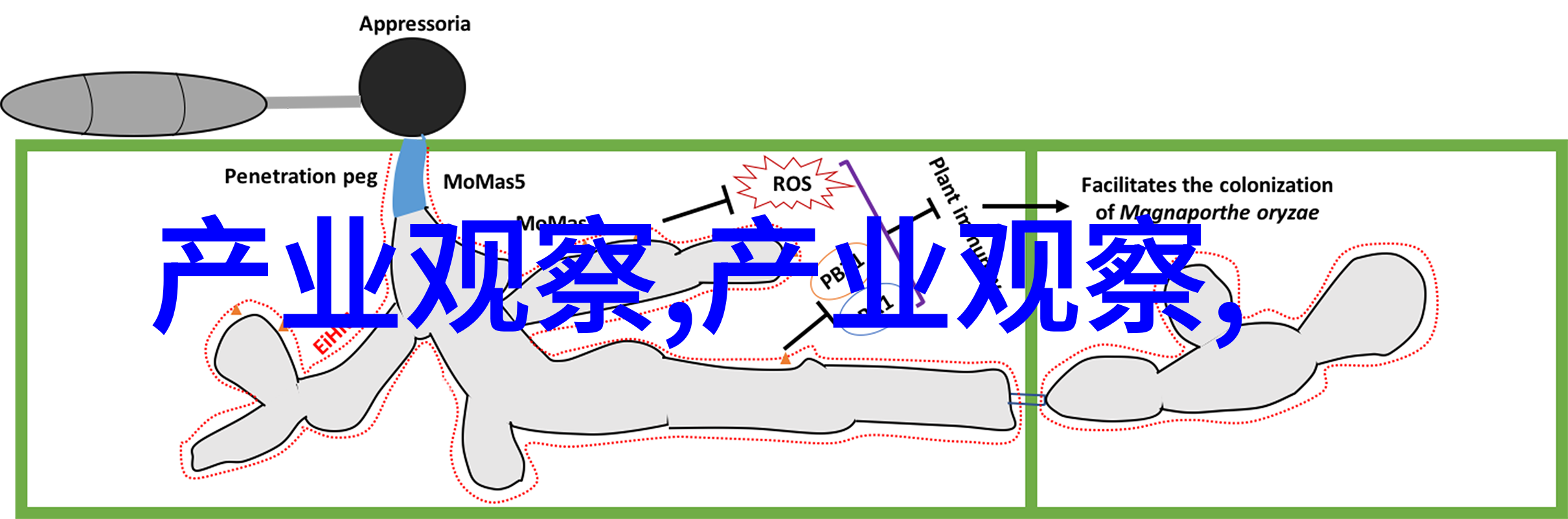 美容医院精致面部造型与健康皮肤的完美结合