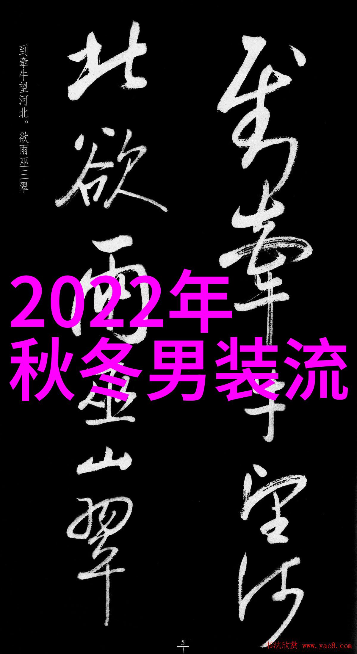 2021年冬季衣服流行色我眼中的冷暖参半时尚风潮