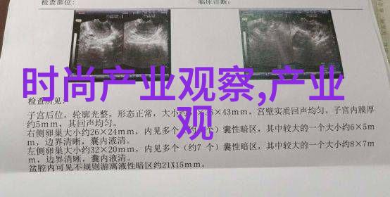 明星穿搭大赏揭秘他们如何在红毯上闪耀