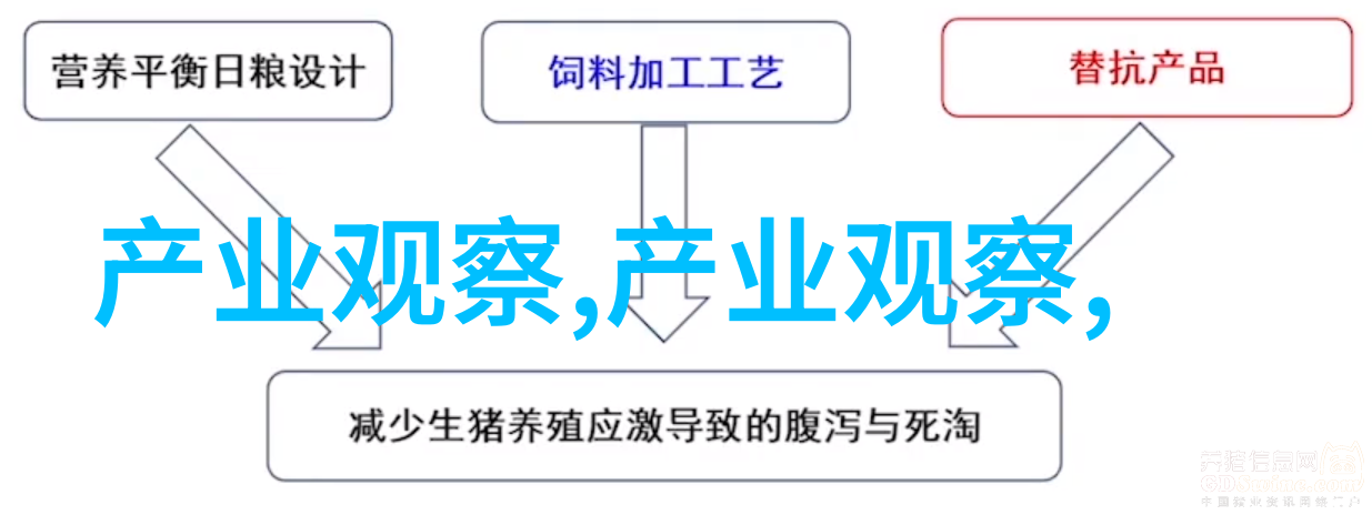 斗鱼之死亡判官全文免费阅读-末日沉浮的裁决者