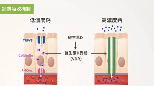 夏日新潮2021年那些让人迷惑的流行发型是什么