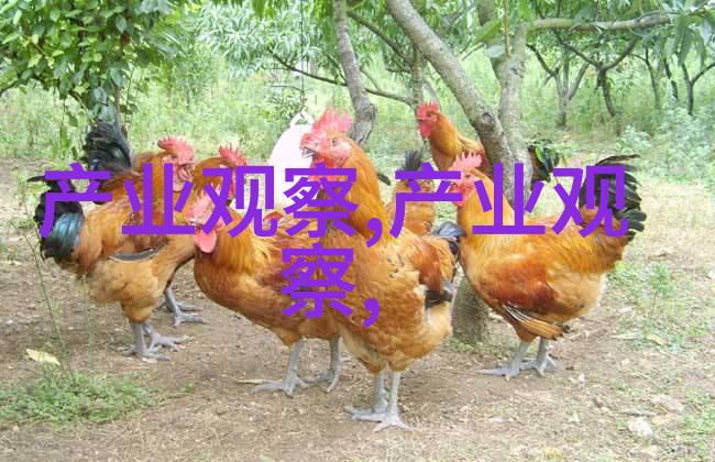 香港鳄鱼恤下的红高粱朱亚文风度翩翩尽显硬汉柔情