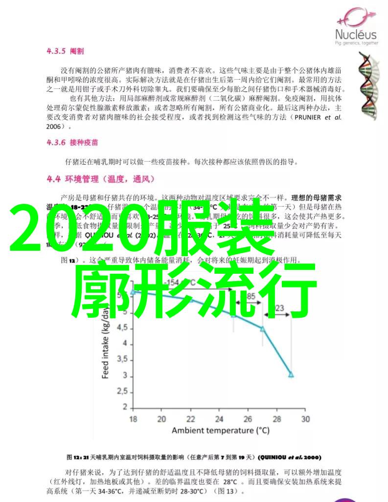 天堂动漫梦想绘境国漫盈利新篇章