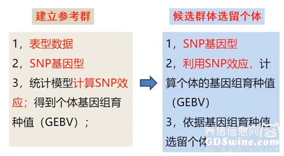 短发男神从乱毛怪到魅力爆表的逆袭