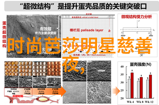 2021服装廓形流行趋势如何完美搭配短卫衣与鲨鱼裤