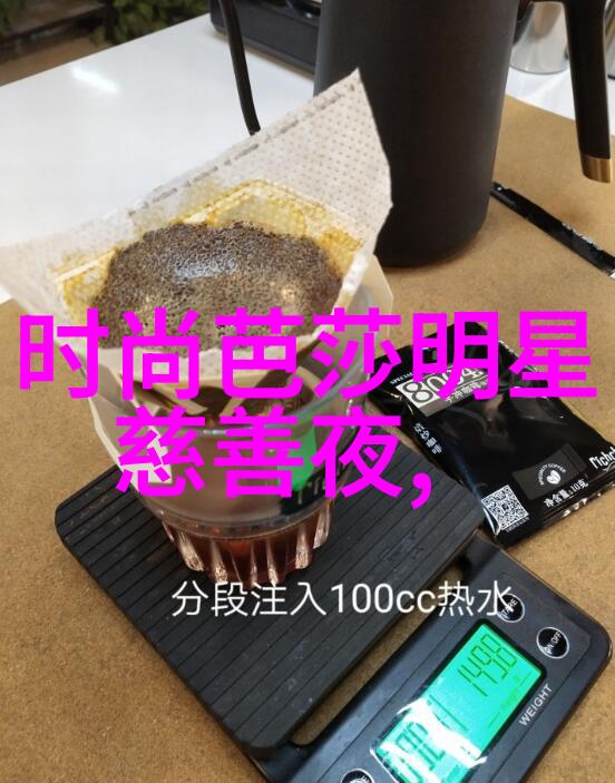 科技驱动生态文明建设通过 rapido 项目推动绿色低碳转型