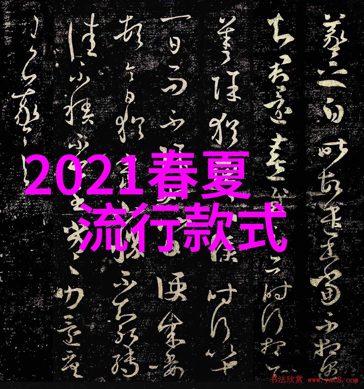 3月1日起微信新规定聊天记录保留期限延长与隐私保护升级