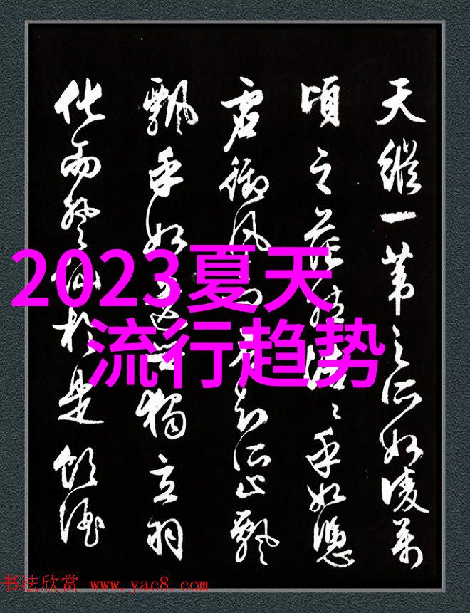 时尚的面纱深度剖析不同款式的魅力与影响力