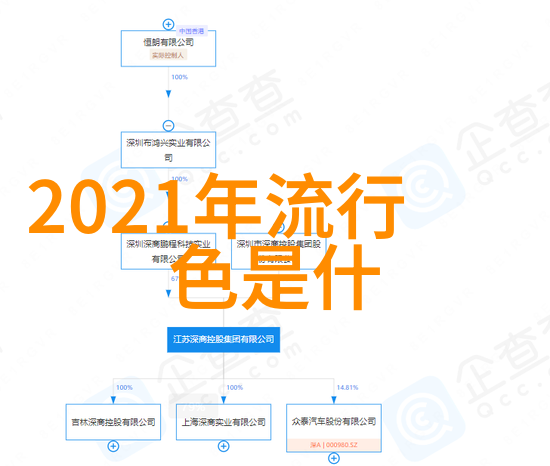 舞鞋-翩跹的步伐探索舞鞋背后的艺术与文化