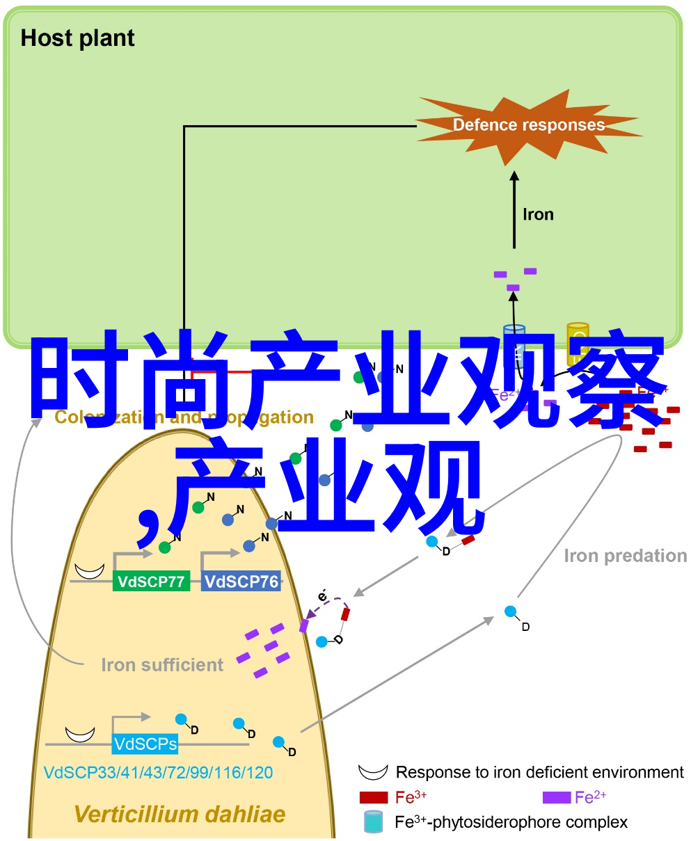 新手学化妆必备知识mac生姜高光保质期解析在社会中如何延长使用时间