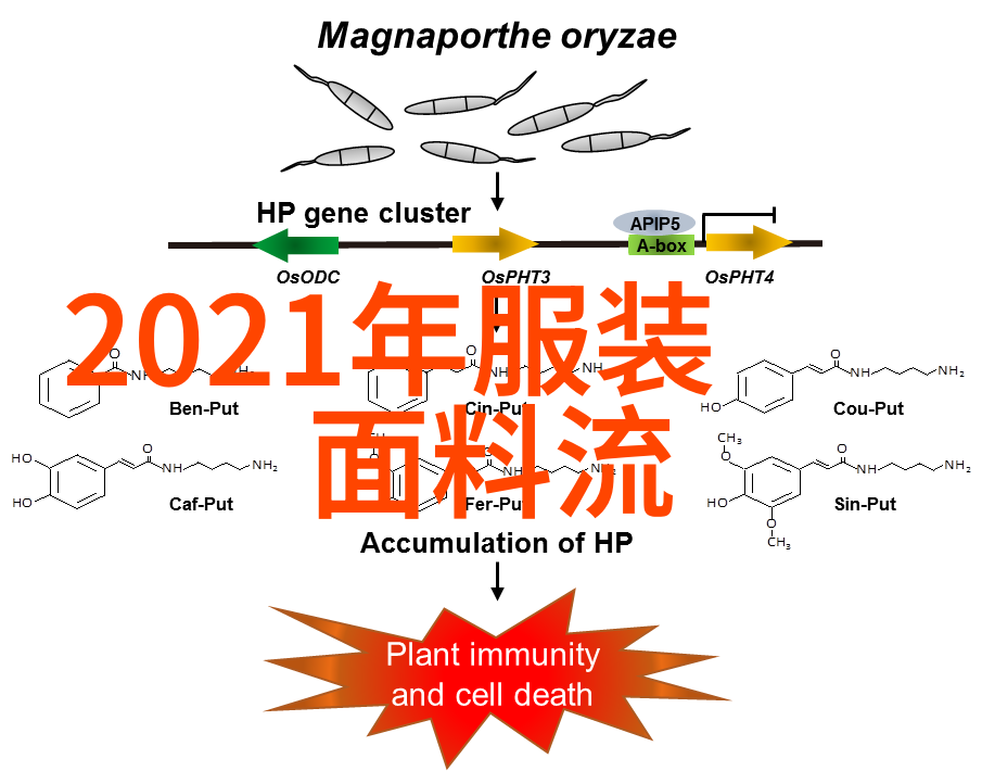 男士理发教学视频精通剪发技巧塑造完美风格