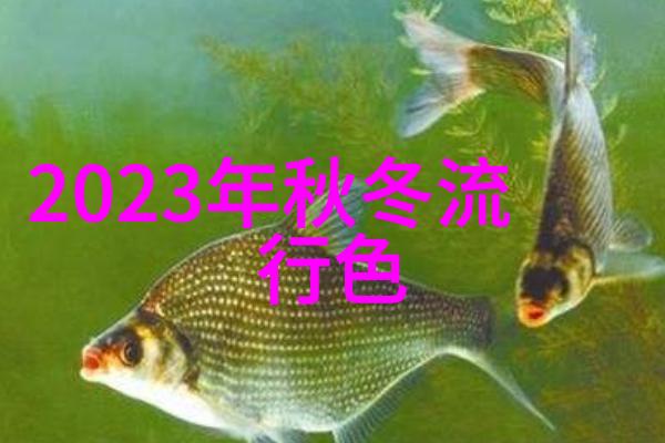 数字经济风向标探索2017今日头条年度盛典背后的策略