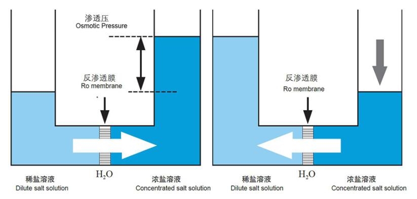 2021年最火锁骨发我是怎么发现的那些超级时髦的发型