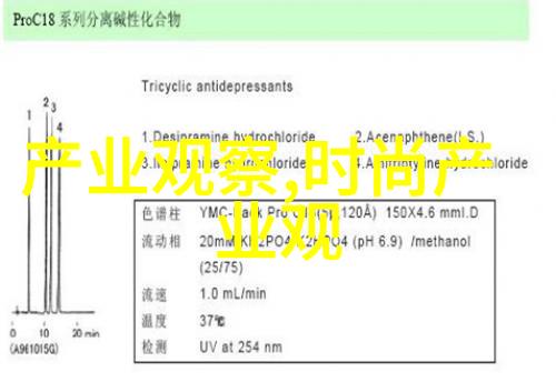 星光下的幽暗森林