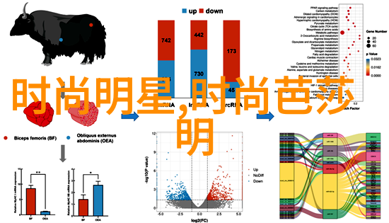 自然纹理与地质图案自然之美在现代时尚中的反映及其影响力分析