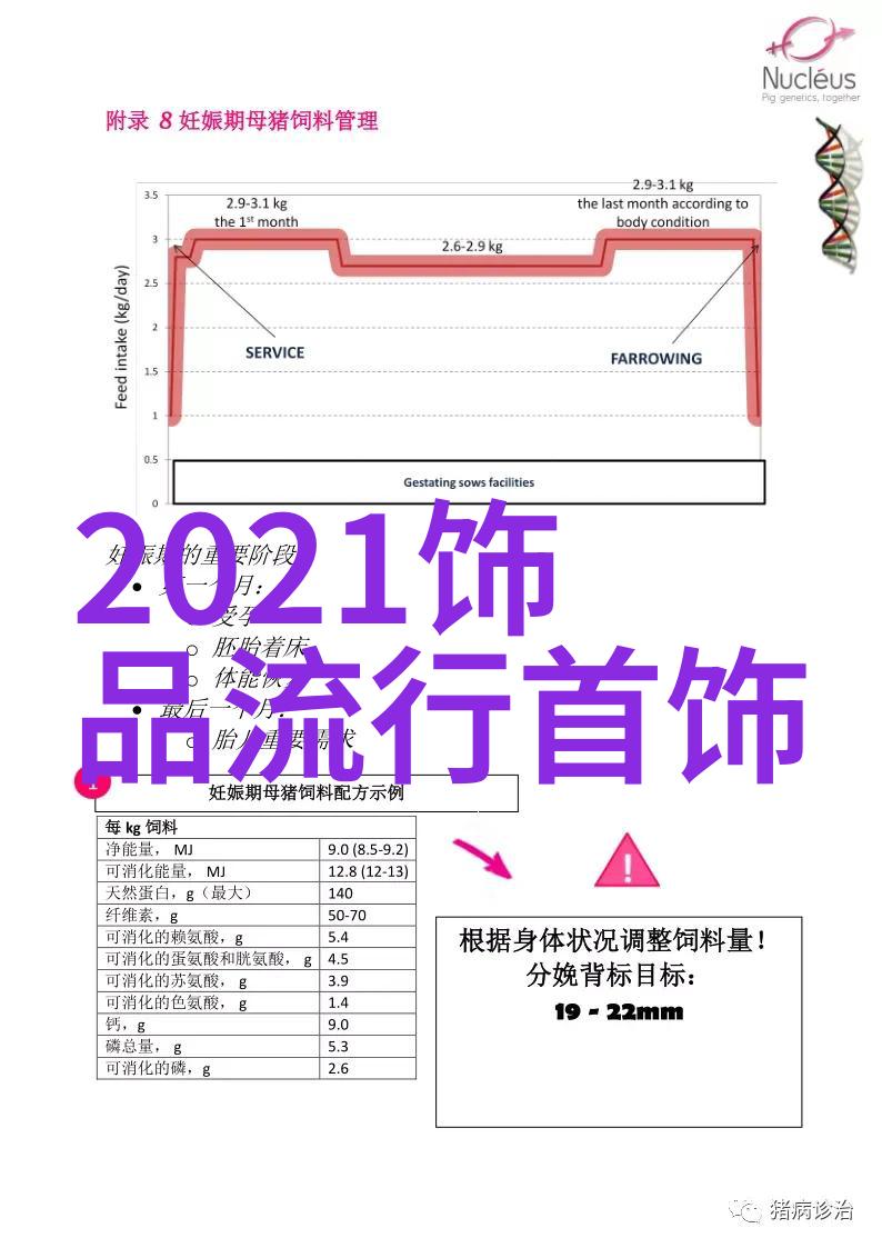 中国电影网全面的中国电影资源与资讯平台